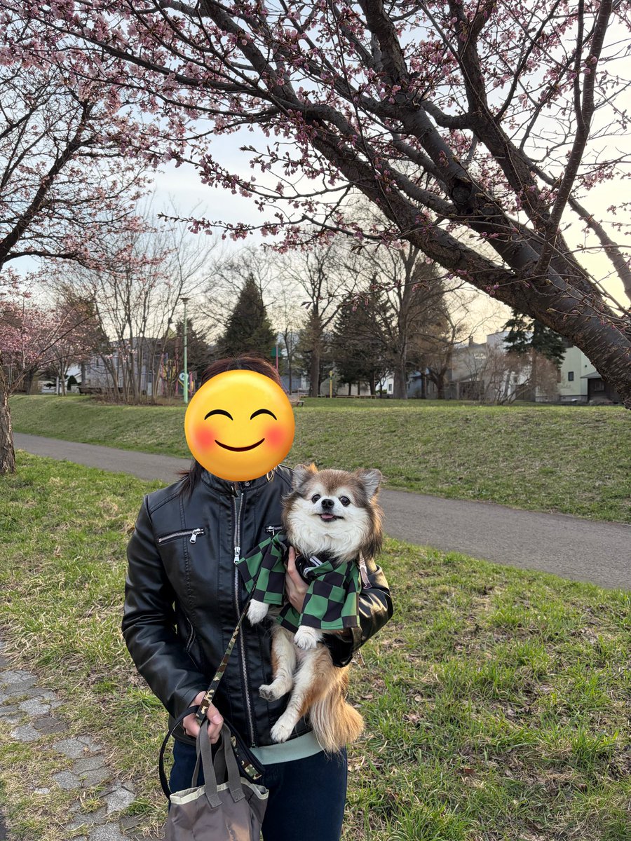 aya🐶　→はろこす　ぱるこす　えべさば tweet media
