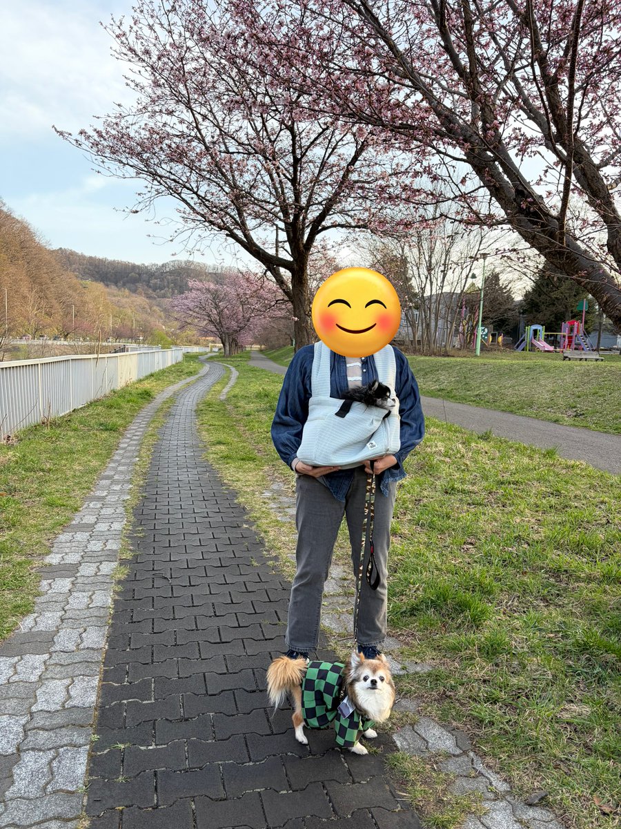 aya🐶　→はろこす　ぱるこす　えべさば tweet media