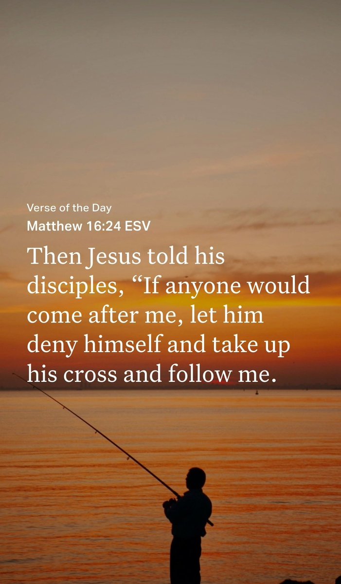 Commodore Shawn 🏴‍☠️🇺🇸 tweet media