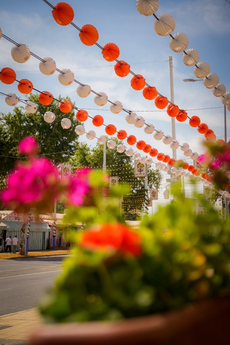 Tomás Quifes tweet media