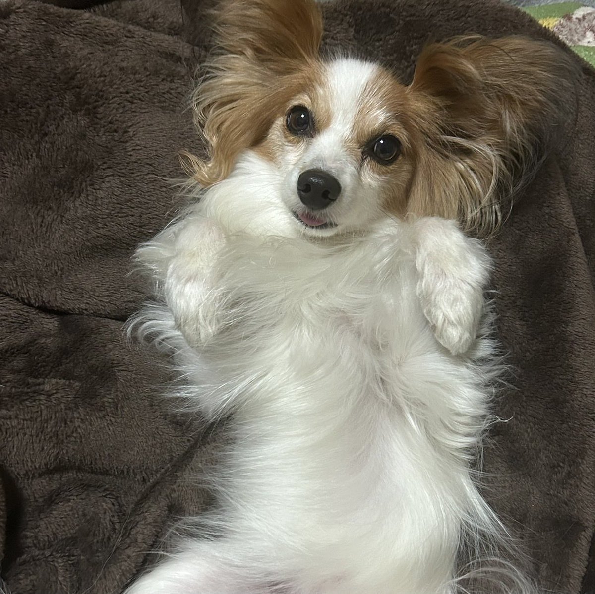 ♡yuko♡ tweet media