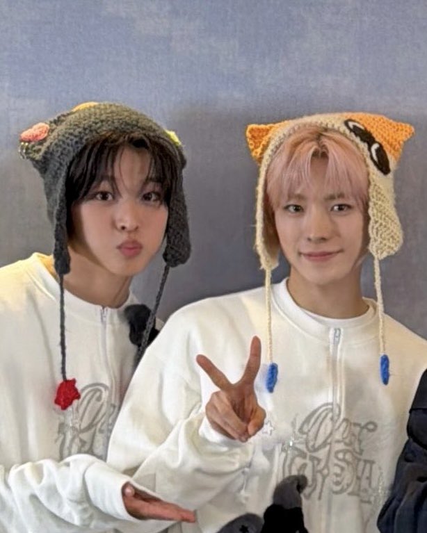 쿠우쿠우즈 얼굴합 tweet media