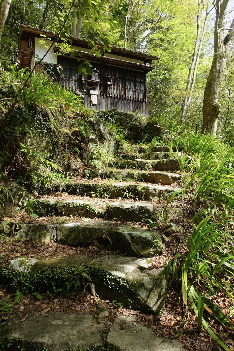 binming22's tweet photo. 桜の園・亦楽山荘（1912年〜／宝塚市）
武田尾駅から徒歩25分。桜博士・笹部新太郎氏が桜の研究のために開いた演習林。氏の没後荒廃するも、ご遺族の寄贈と宝塚市の購入で公園になり、森林ボランティア「櫻守の会」の方々が整備。桜にはやや遅く、紅葉の新緑が鮮やかでした。
https://t.co/ePSgmQ3yaH https://t.co/gNZFJvnWa0