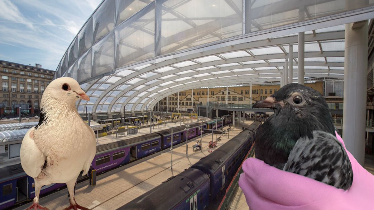 PROTECT ALL WILDLIFE tweet media