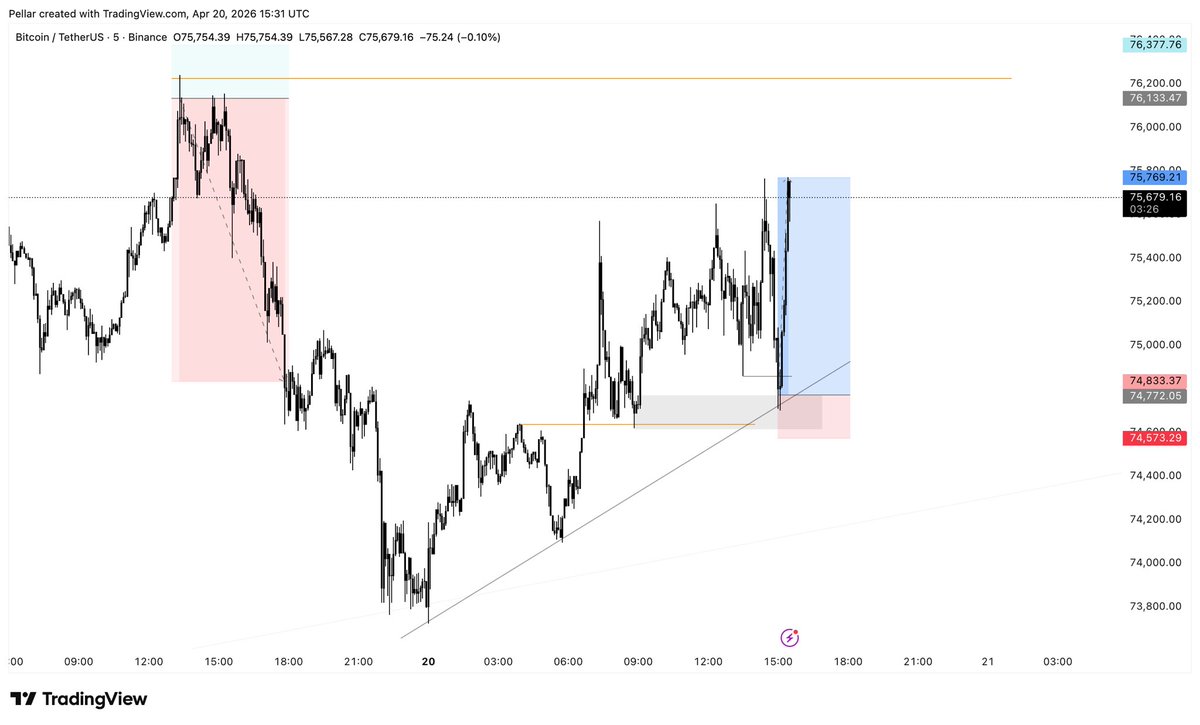 Pellar Trades tweet media