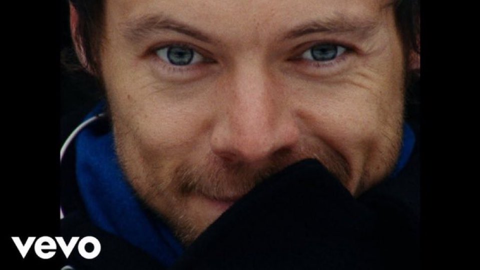 Fernanda tweet media