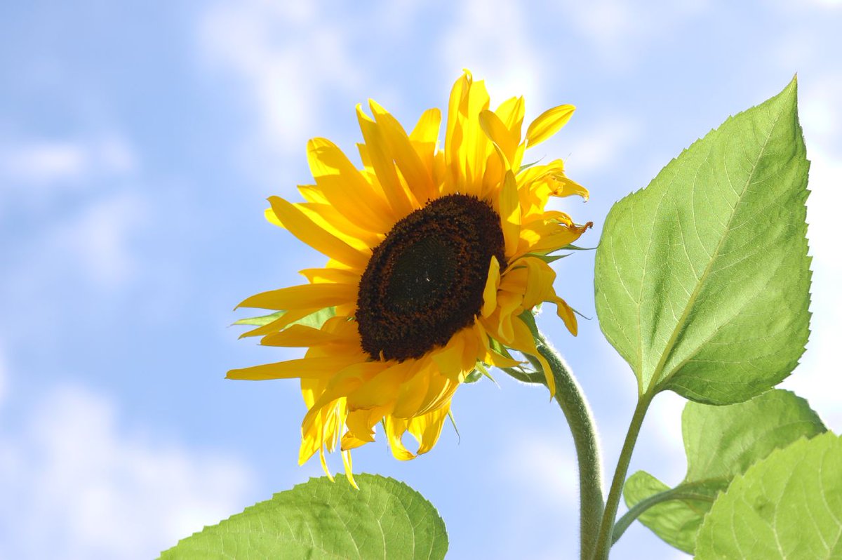 EricaVerrillo's tweet image. 88 Calls for Submissions in April 2026 - Paying markets.  #writingtips #amwriting #publishing #writing #pubtip #WritingCommunity #MondayBlogs publishedtodeath.blogspot.com/2026/03/74-cal…