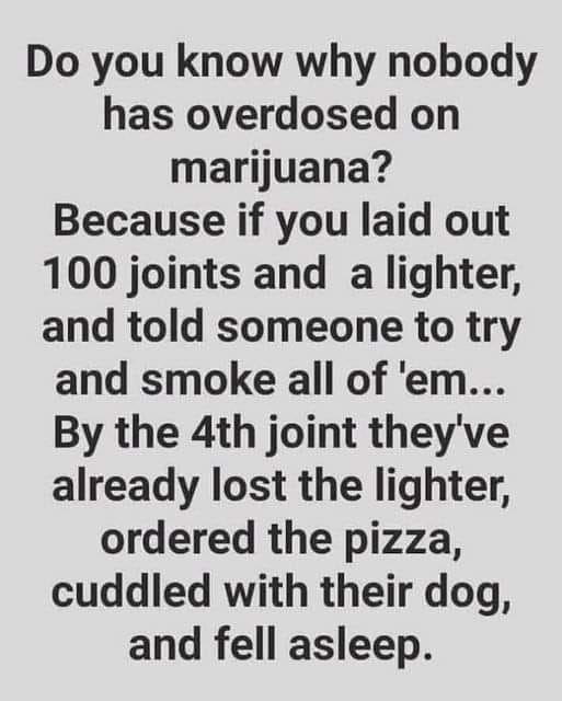 Vampiresangellv (@vampiresangelnv) on Twitter photo 