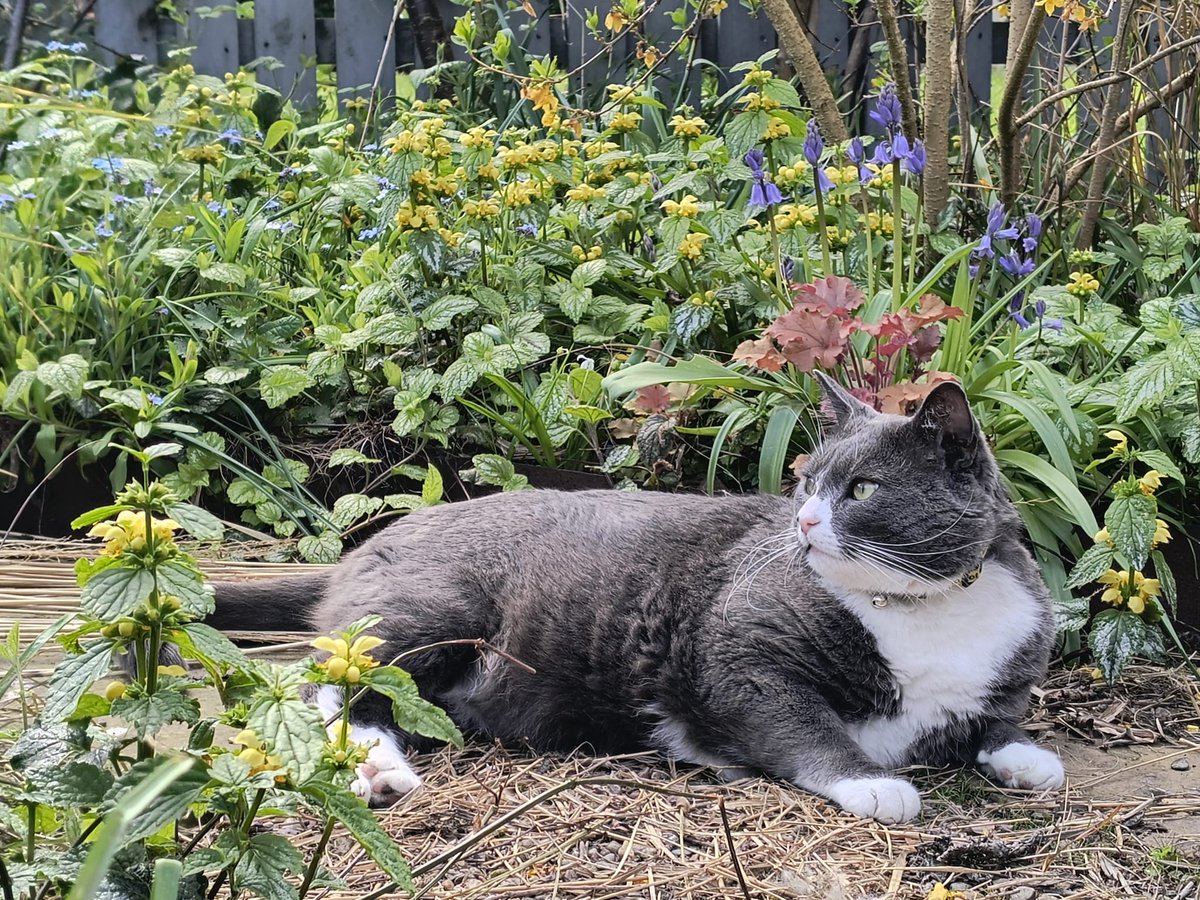 (польська) Баба СаРКАзм 🏴󠁧󠁢󠁳󠁣󠁴󠁿 tweet media