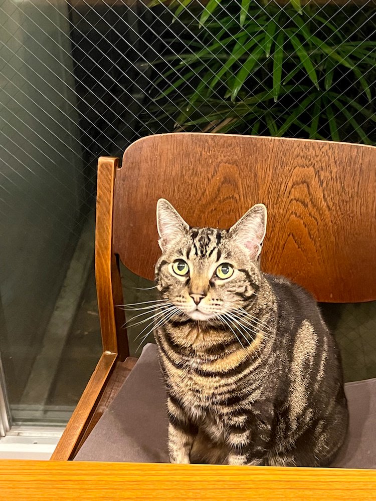 TAKASHI O'HASHI tweet media