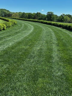 TNSteeplechase's tweet photo. Course update from Clerk of the Course, Ted Thompson:

In response to the recent drought across the Southeast and Mid-Atlantic, we began irrigating the course on April 6. Current compaction readings are consistently in the good range, with a strong, healthy turf base. The grass will be maintained at approximately 5½ inches for race day.

Our goal is to present ground just on the kind side of Good, barring any unexpected weather shifts.