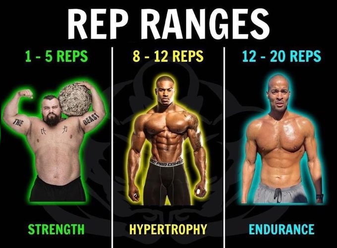 FiveFitness's tweet image. REP RANGES! 💪👈

Your training should be mapped accordingly to your goals. So many people workout but don't understand the direction they're heading in. Your training always has to cater your goals..   

#Gym #Reps #Training #Workout #Information #Guide #Goals