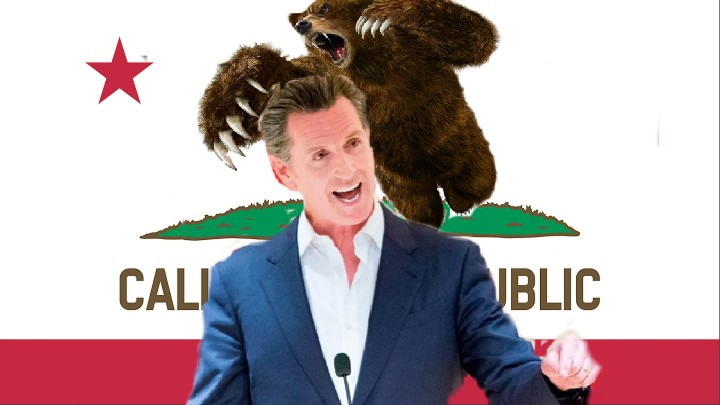 TradeIdeas's tweet image. .@realDonaldTrump .@Scavino47 .@FBIDirectorKash .@nickshirleyy - Audit #California the WHOLE STATE and EVERY POLITICIAN who was installed. Audit Gavin Newscum! Audit Bass....do it for the sake of the COUNTRY!