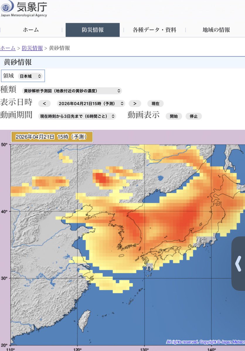 オクトパス tweet media