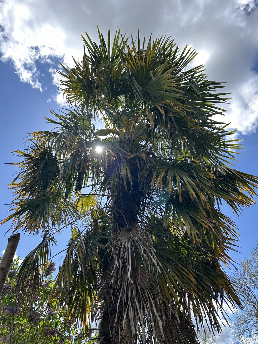 ChaplainStPetes's tweet photo. ‘The world is a great stage on which God displays his many wonders.’ #StFrancisofAssisi #Spring #Easter 
Enjoy the new life of spring and spring into your new Easter life! https://t.co/l2Yu7L0JJI