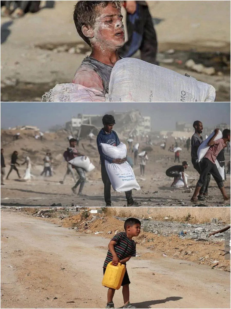 Hidayah Nizar🍉🇵🇸 tweet media