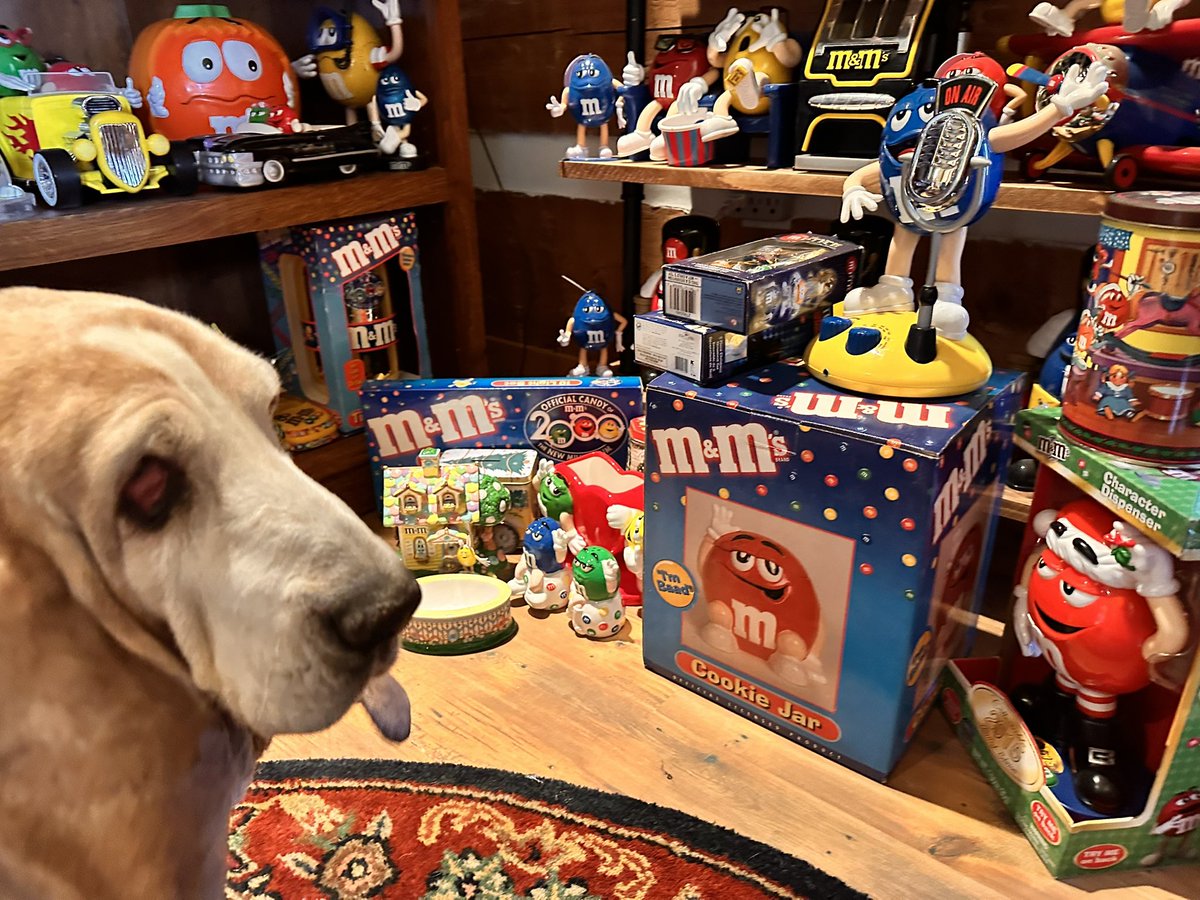 Mockler Bassets tweet media