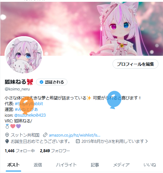 狐妹ねる🎀 tweet media