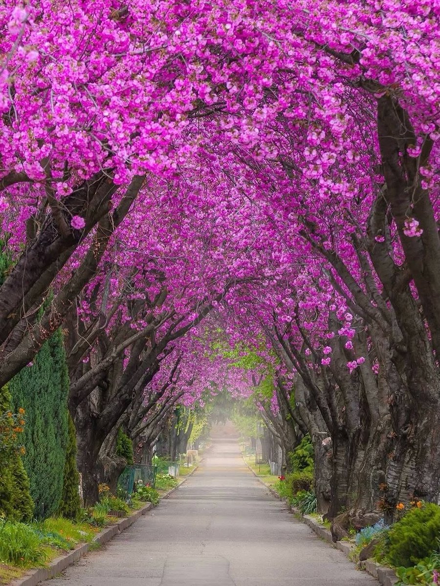 ramblingsloa's tweet image. Your heart knows the way ❤️
Run in that direction.

Rumi