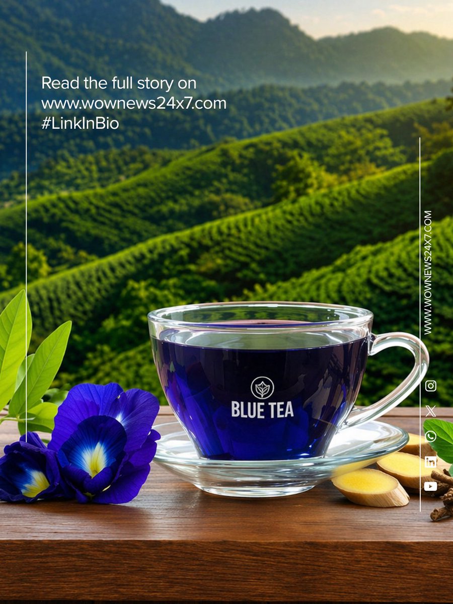 wownews24x7's tweet image. 𝗪𝗢𝗪 𝗦𝗧𝗢𝗥𝗬 𝗢𝗙 𝗧𝗛𝗘 𝗗𝗔𝗬: 𝗕𝗹𝘂𝗲 𝗧𝗲𝗮 🍵

They spotted value in an overlooked flower, built global demand first, and turned it into a brand now served at 30,000 feet.

🔗 Read more:
wownews24x7.com/wow-story-of-t…⁠

#wownews24x7 #BlueTea #StartupIndia #BrandBuilding