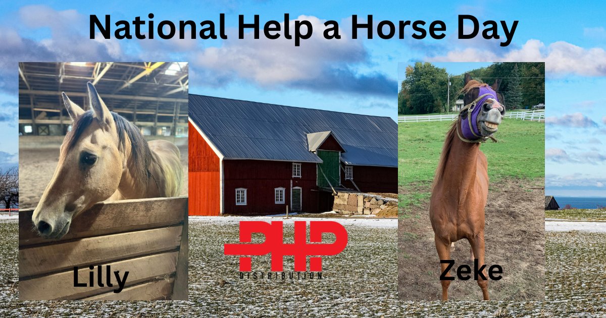 PHPDistribution's tweet image. We love horses here at PHP too. Here's our employee horses.
#funday #phpdistribution