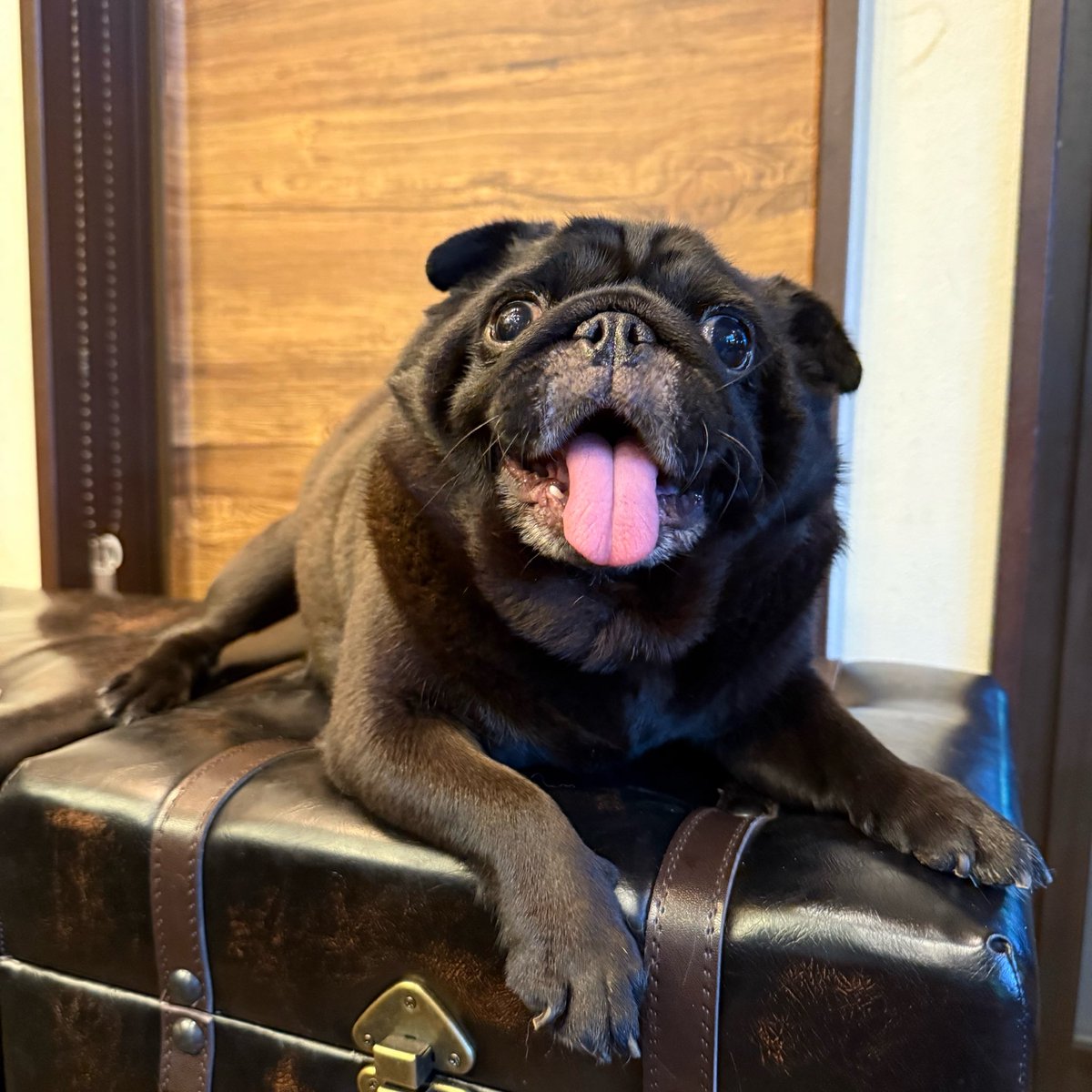 おもちいつも笑顔☺️