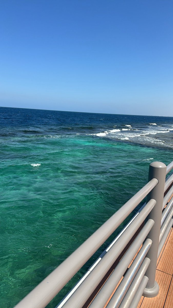 غيٌاب tweet media