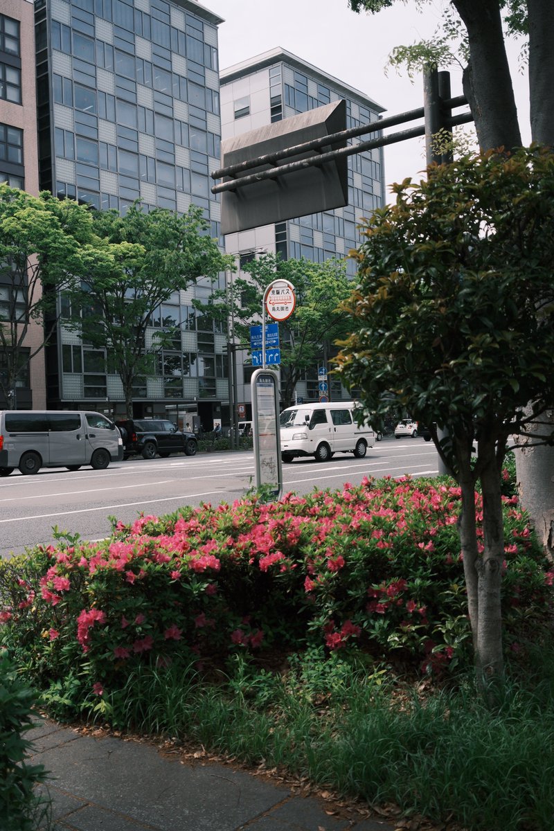 ヤゴクレ tweet media