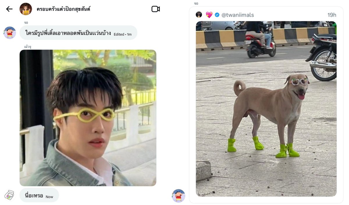 เบบี้นูว 🪿𓈒 tweet media