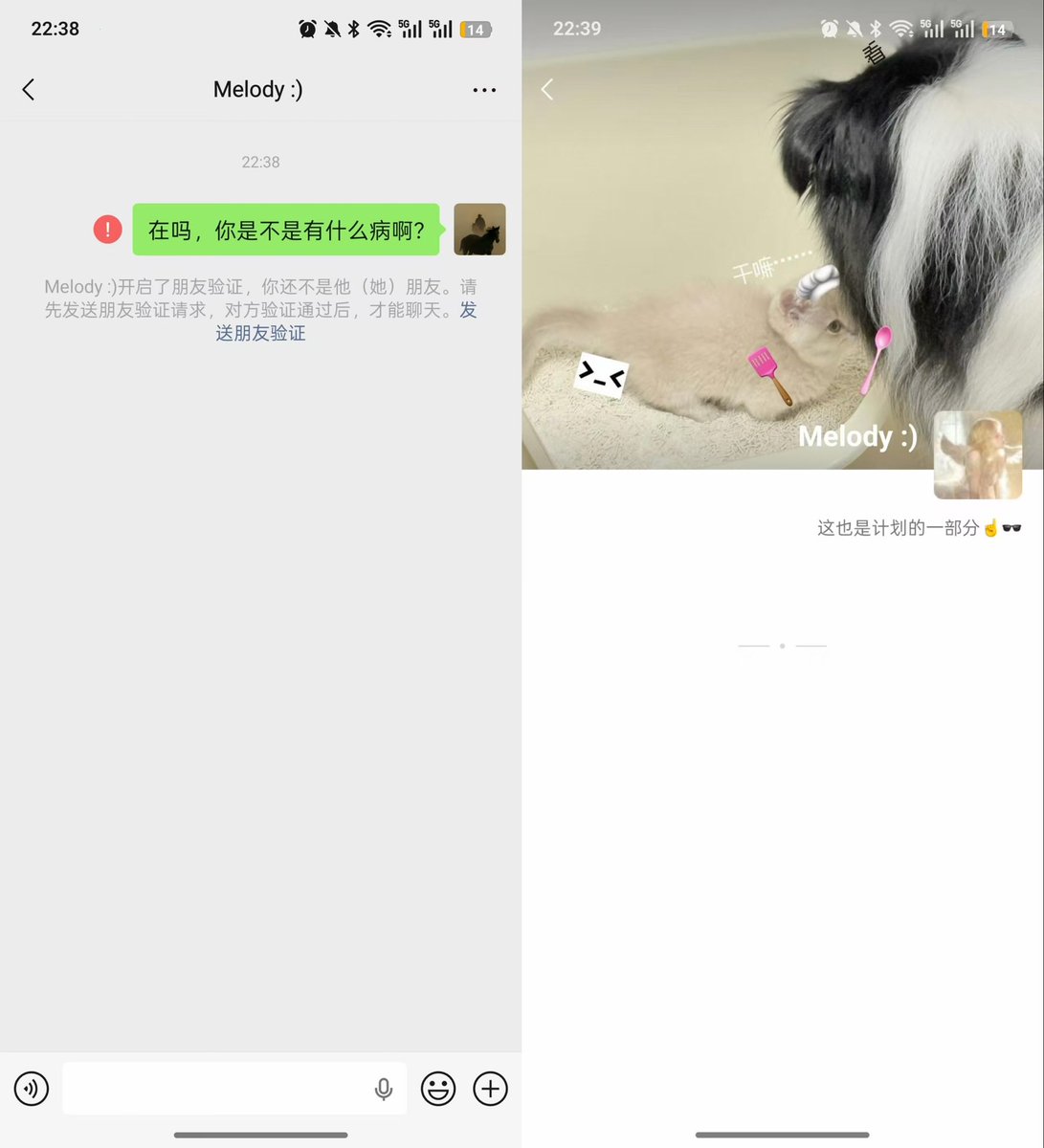 Dylan.迪伦丨🌊RIVER🐬TermMax tweet media