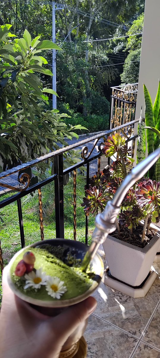 ❤ 🐈🐱🐾 tweet media