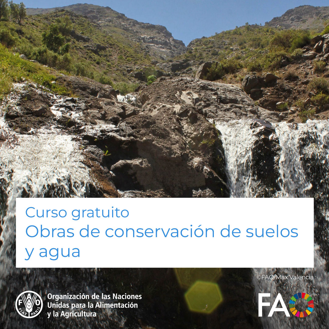 FAO Américas tweet media