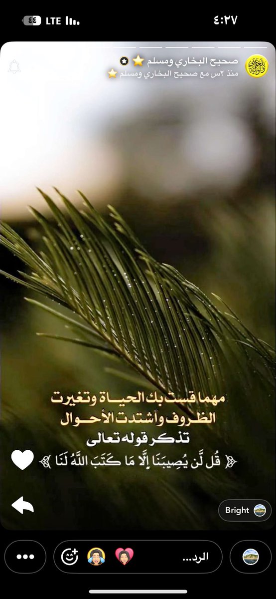 همة تعانق القمه tweet media