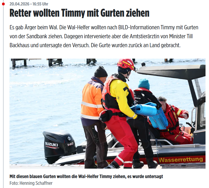 d0mturbo's tweet image. Jap... diese Frau #Groß bewirkt mal wieder .. Achtung: "Groß'es". Es ist unglaublich das diese Tante immer noch ein Mitspracherecht hat bei #Timmy/#Hope. Die Retter versuchen alles... aber diese "Barrieren-Tante" hat natürlich ein Veto-Recht. Furchtbar!