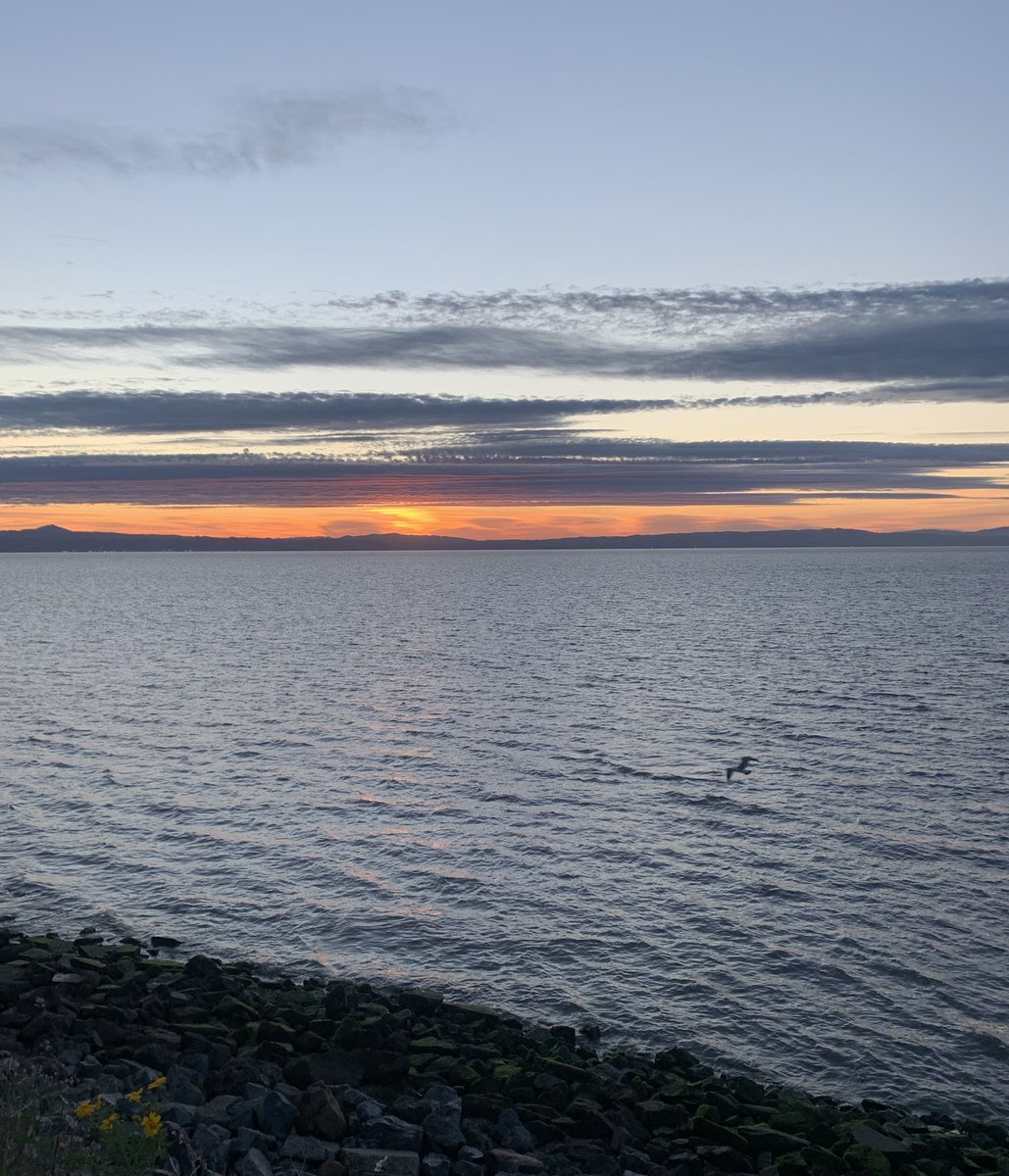 bunk_mike's tweet image. The greatest path is the one seldom walked, where we release the clamor of others’ minds &amp;amp; uncover, in stillness, the power of our own choices. There, we live our truest life🤔 #Mondayvibes #Mondaymorning #Nature #Photos #Naturevibes #Photograph #bekindalways #sunrise #peace #wow