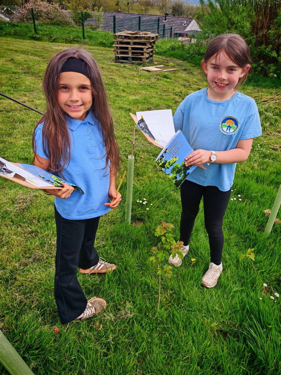 SwissValleyCP's tweet photo. BL4 have had a busy afternoon of #OutdoorLearning They used Maths &amp; Numeracy Skills to identify trees in our school grounds and also collected grass cuttings to our composter 

#SVCPMathsNumeracy
#SVCPOutdoors https://t.co/9oM2ncZSQZ
