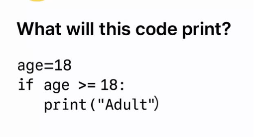 Python Programming tweet media