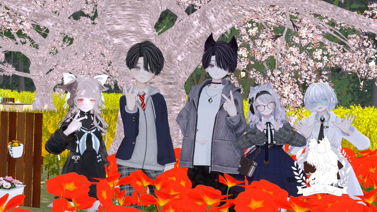 ぴっぴ tweet media