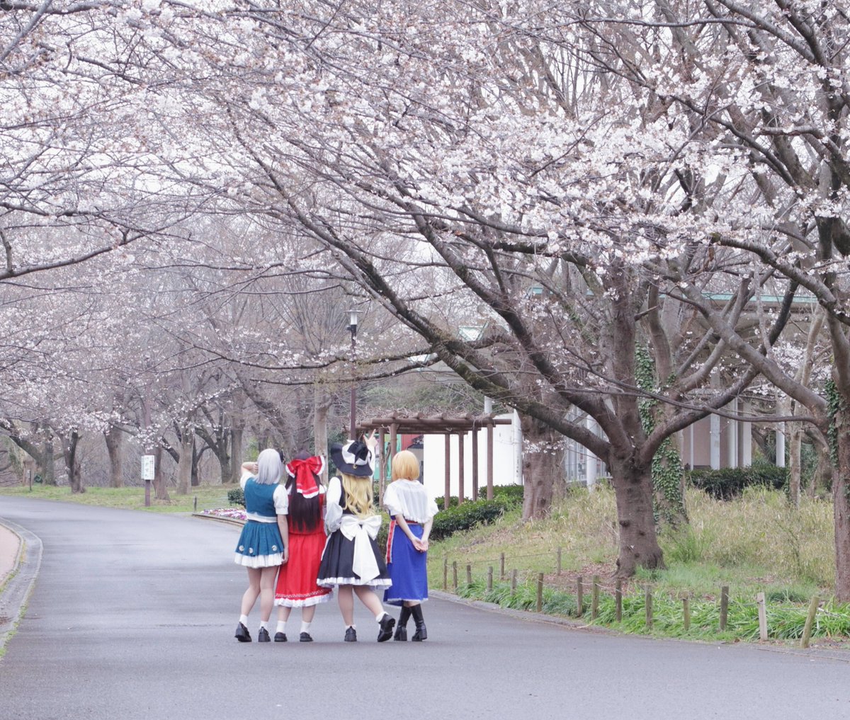 minase_lira02's tweet photo. 【Cosplay】

 東方project
＿＿＿
Photo. @waresama_1031 さん
＿＿＿
#cosplay #東方Project https://t.co/MVN0XdiwlH
