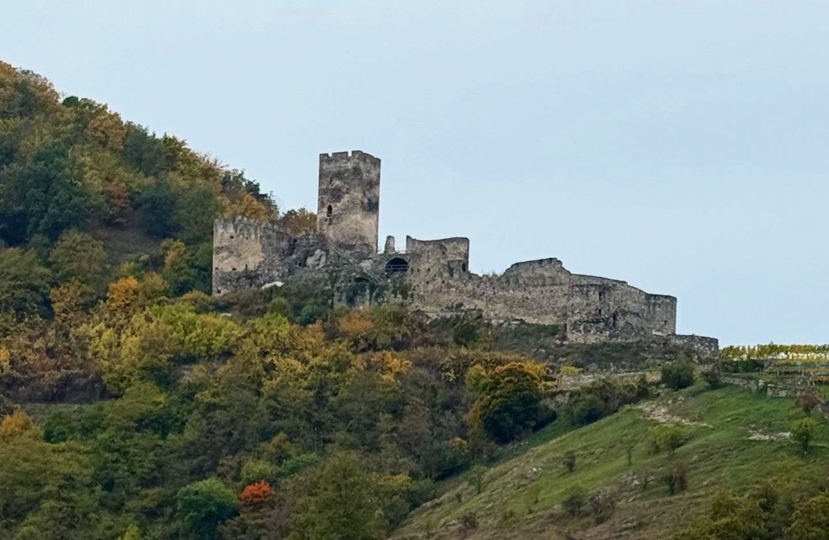 Today's Photo Challenge, state of DECLINE.

Anything in a declining state, wilting, fading, decaying, or slowly coming to an end. It could be a once vibrant flower losing its petals, an old building showing its age, rust taking over metal, or the quiet close of a season.