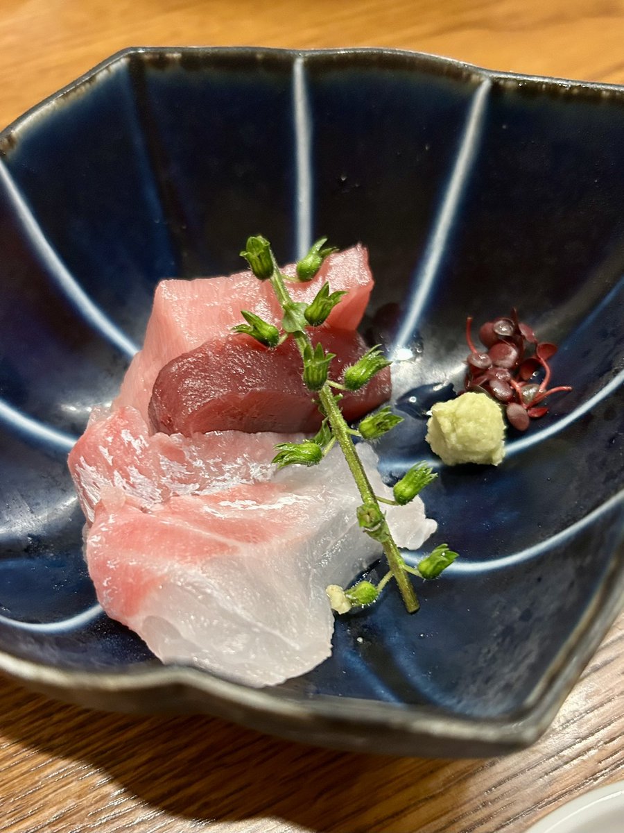 弁護士猫 tweet media