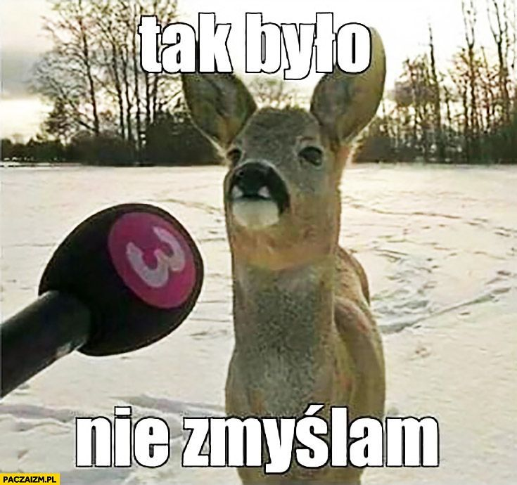 orzelkarol's tweet photo. @tomek525 https://t.co/Q3DXcI9WcC