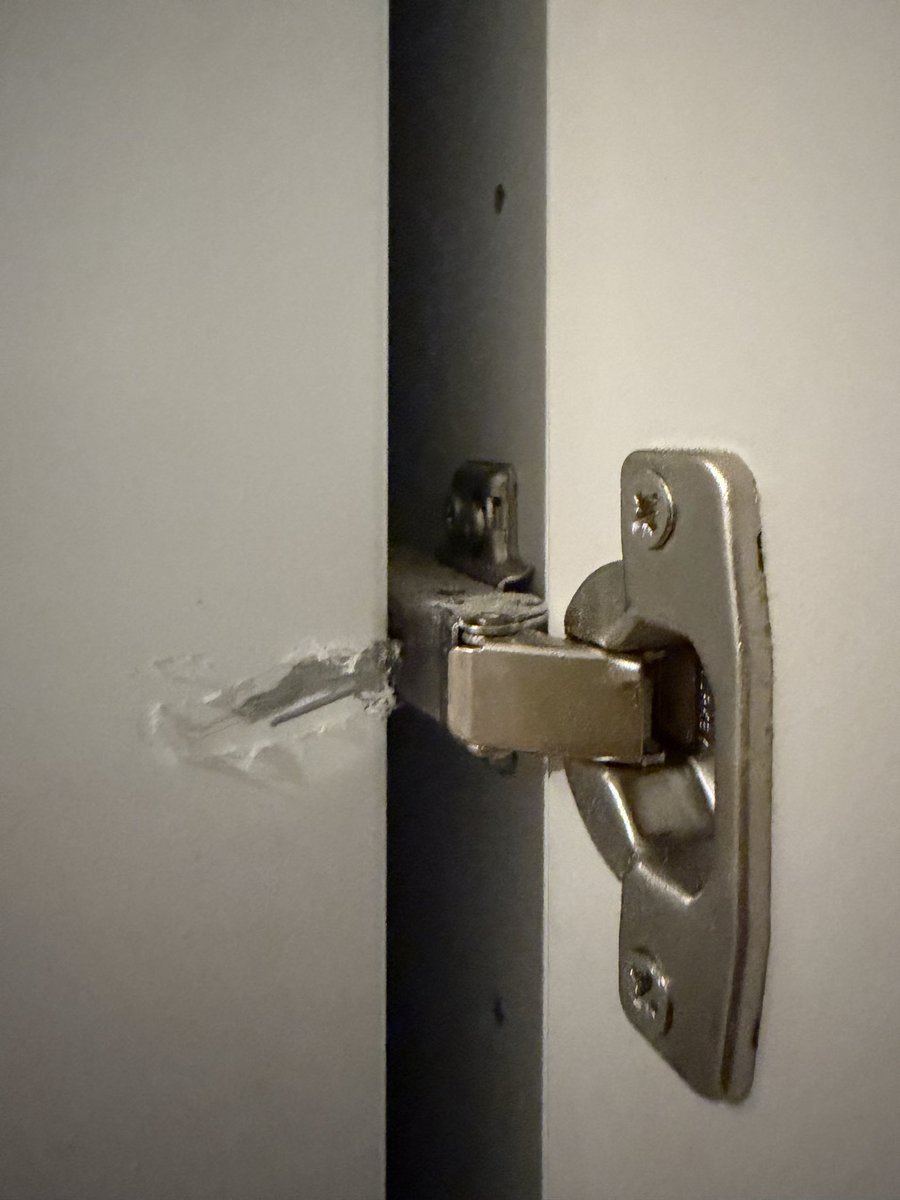 Lala M🦦 tweet media