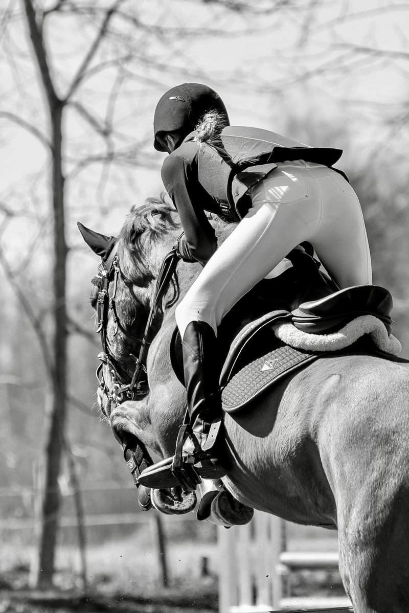 elittesport's tweet image. #blackandwhitephotography #equestrian #horses #sports