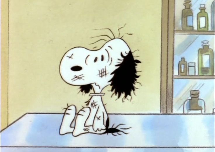 snoopyfever_'s tweet photo. https://t.co/WtsKoH5FzQ