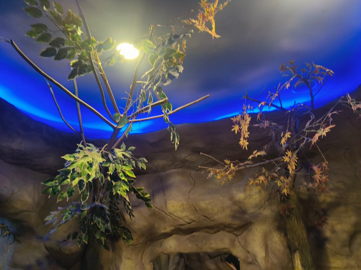 พี่หมี🐻 tweet media