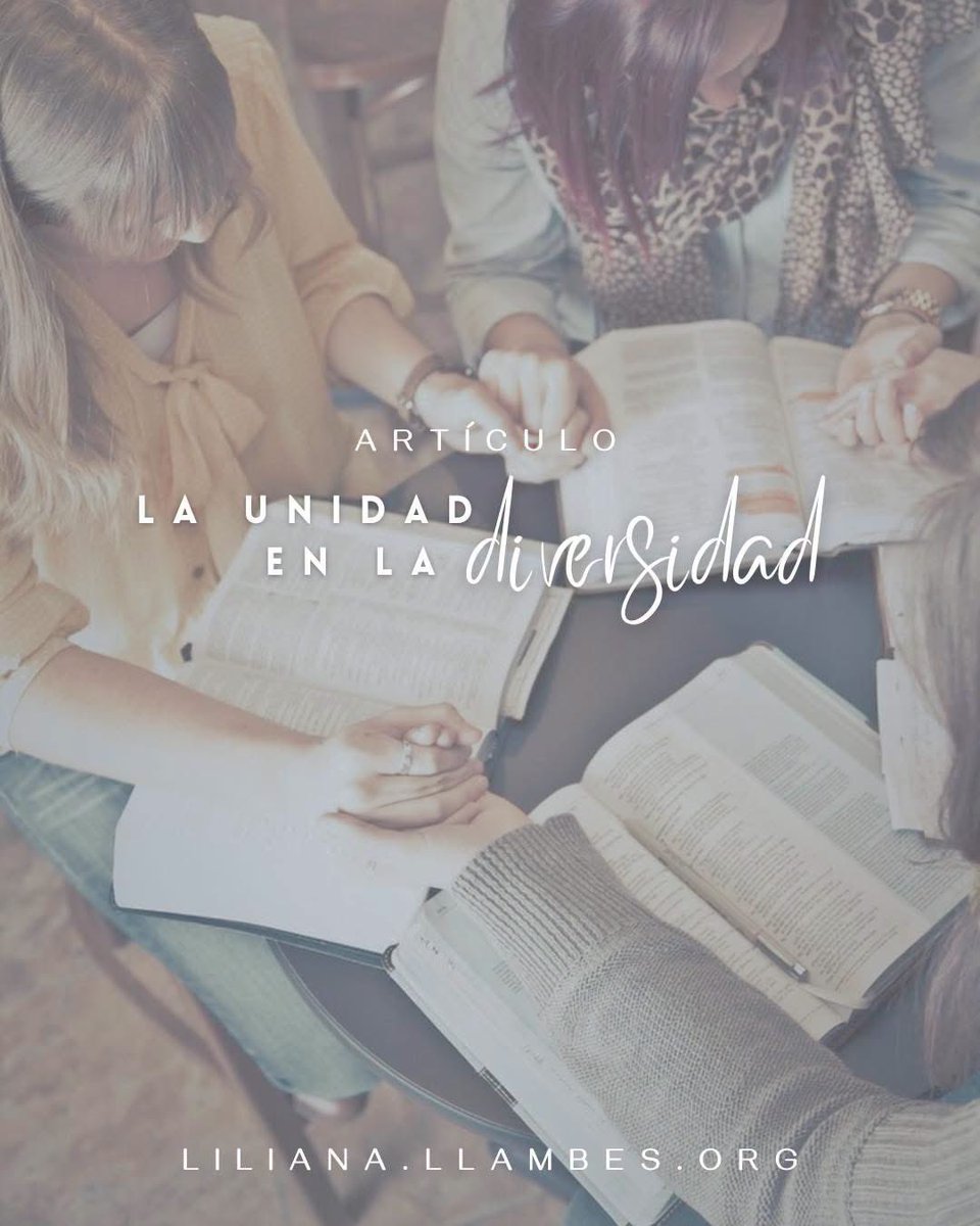 Lily Llambés tweet media