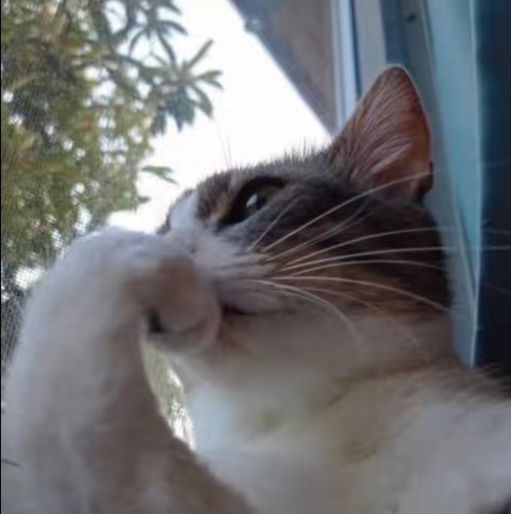 I should've included more overstim in not too much (isn't it?)...... (I just wanna see Kazuha crying and hardly able to talk or move as he gets eaten out for the nth time that night I mean what)