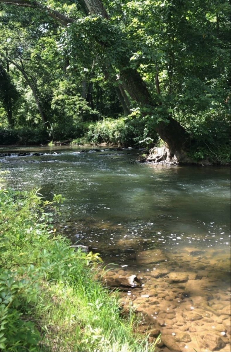 Group Lar Travel tweet media