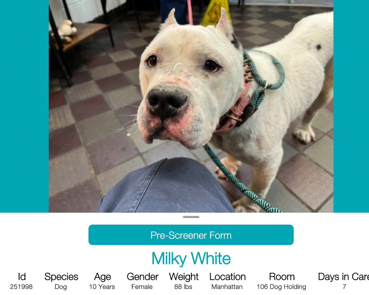 Char Bolen tweet media